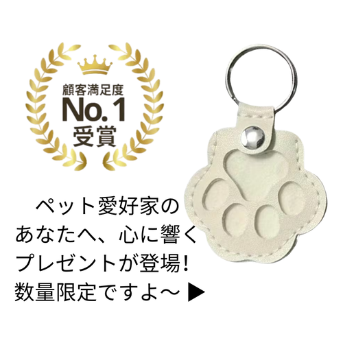 PETTO MEMORIA メモリアルキーホルダー