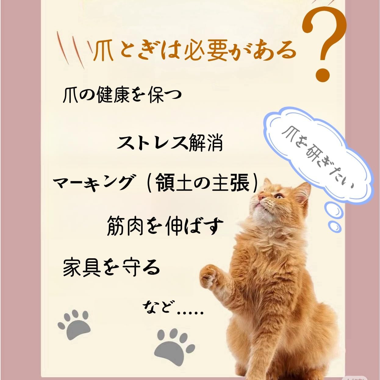 猫ちゃんの楽園タワー爪とぎ・遊び・リラックスが一体化！