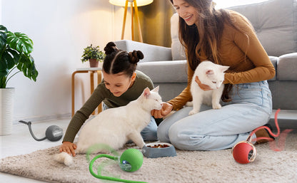 PetTrek Spinner– スマートな猫用おもちゃ