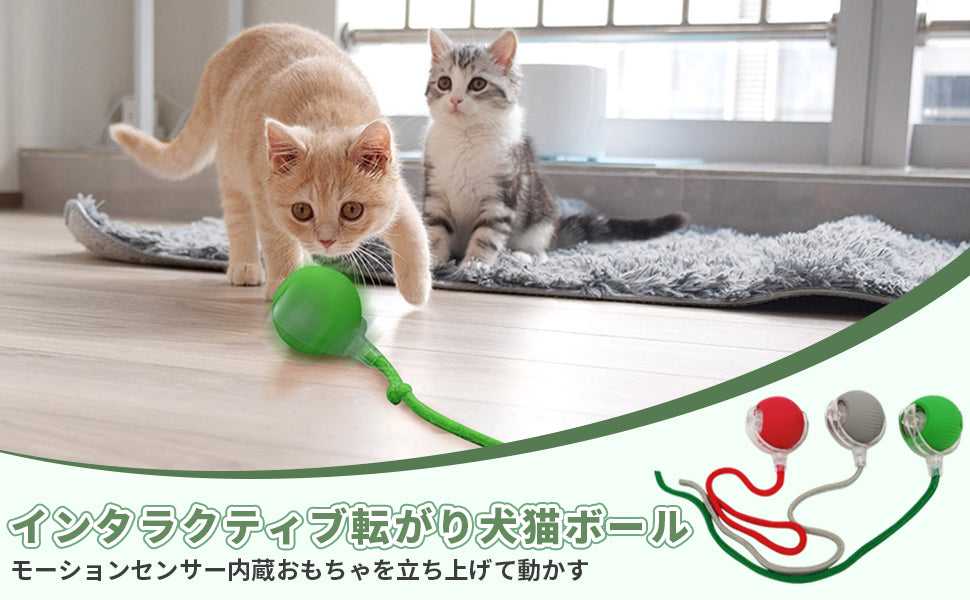 PetTrek Spinner– スマートな猫用おもちゃ