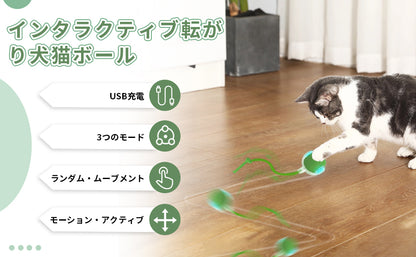 PetTrek Spinner– スマートな猫用おもちゃ