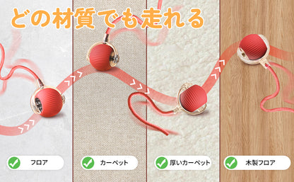 PetTrek Spinner– スマートな猫用おもちゃ